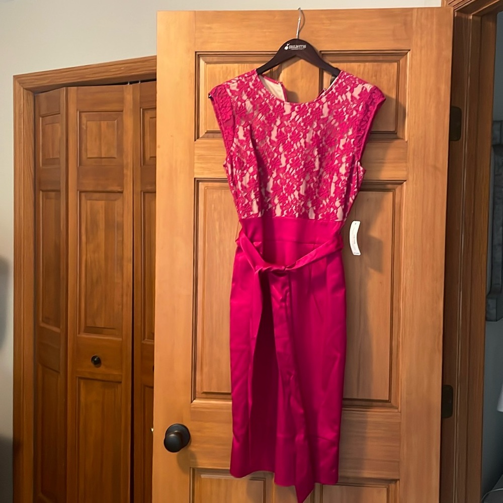 Pink/Fuschia Dress! Never Worn